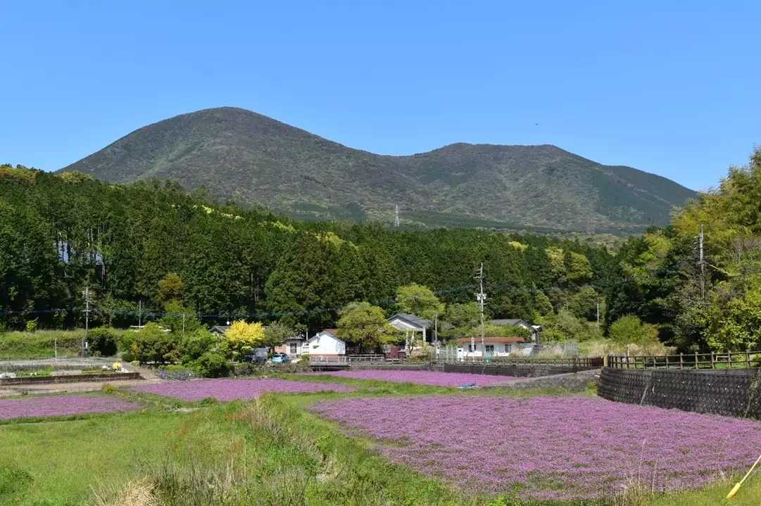 郡岳の写真