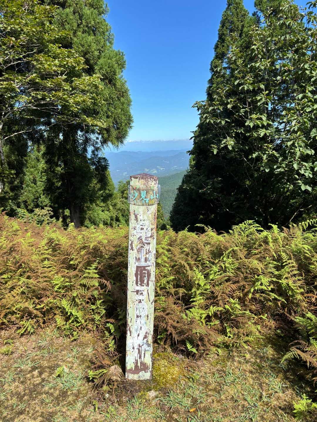 と思ったら割とすぐつきました