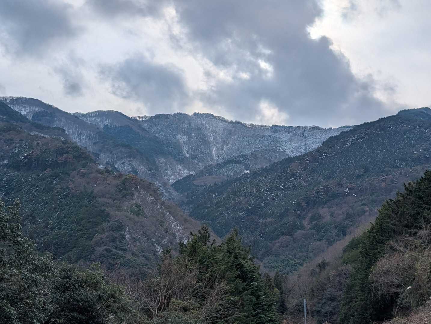 大川山 往復コースの写真