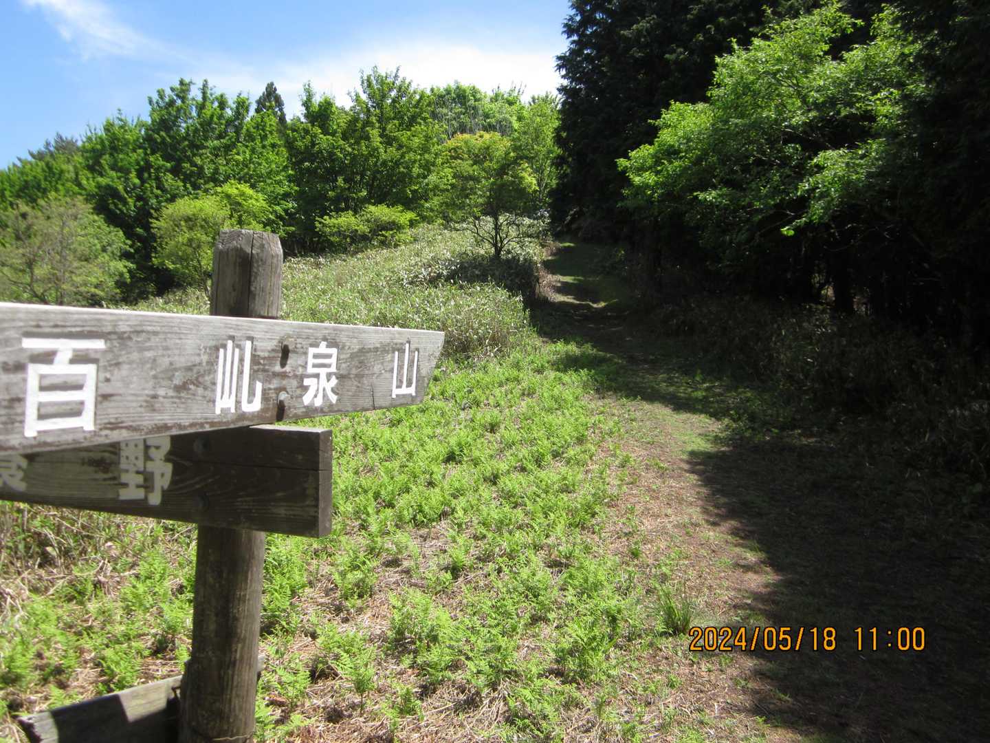 福ｹ乢の分岐です