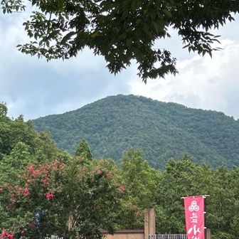 この時期は藪蚊に🦟注意を⚠️