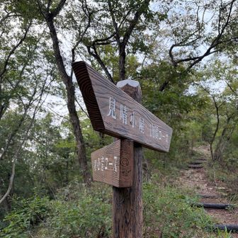 悩むことなく山頂コースへ🚶