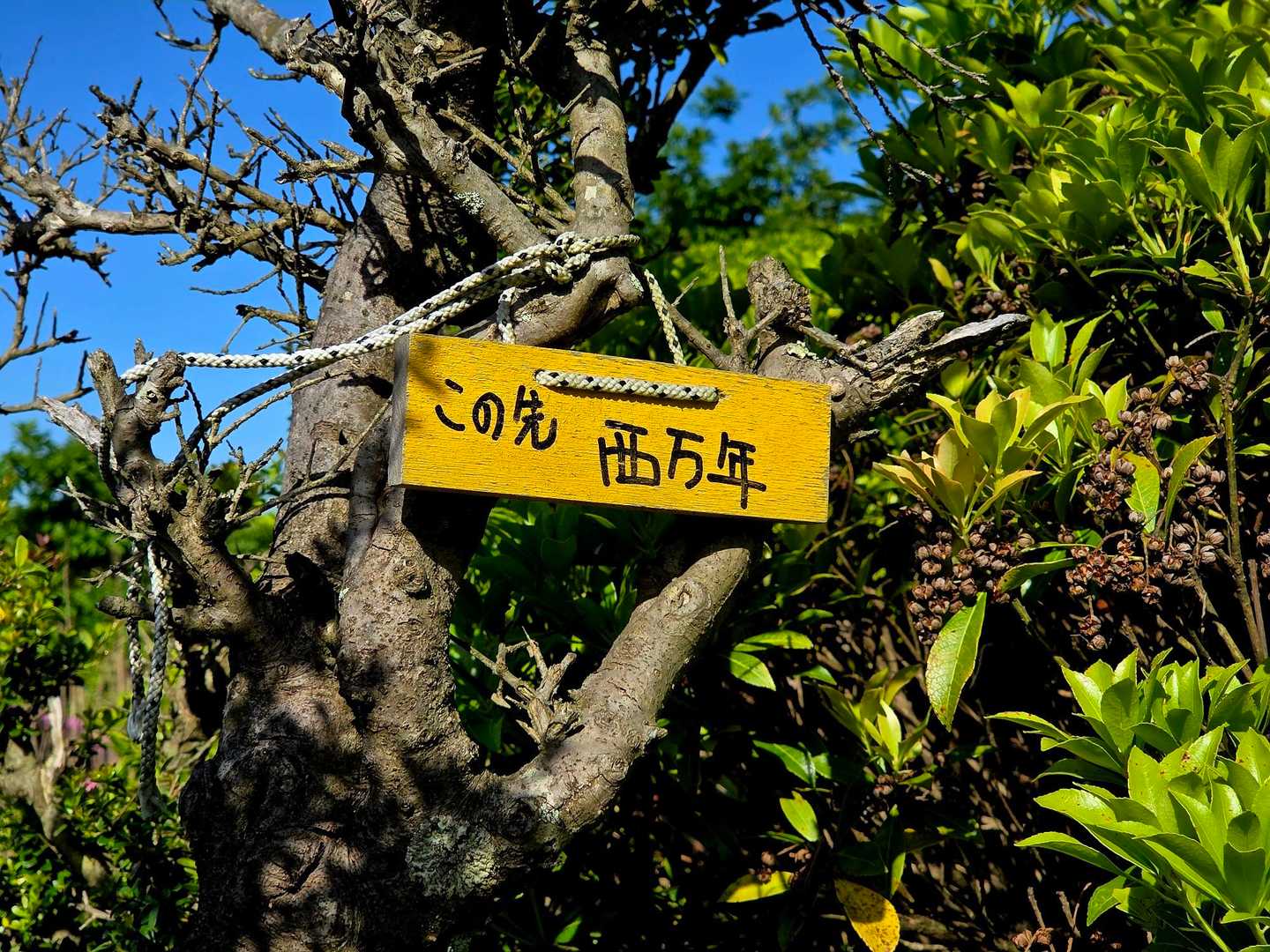 ちっちゃな案内板