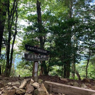 山頂
これで下山です