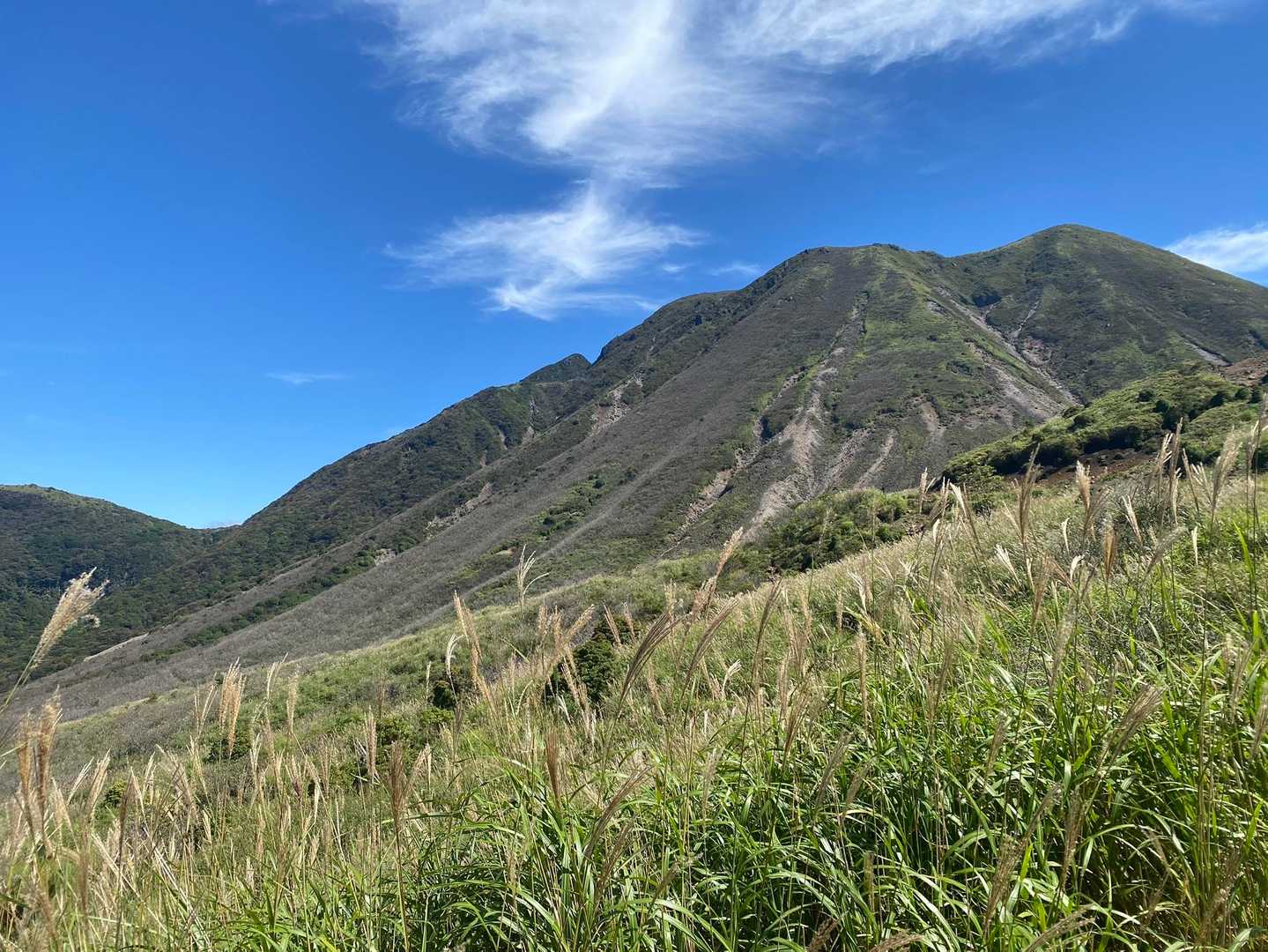 ススキ🌾🌾🌾。秋に向かってますね