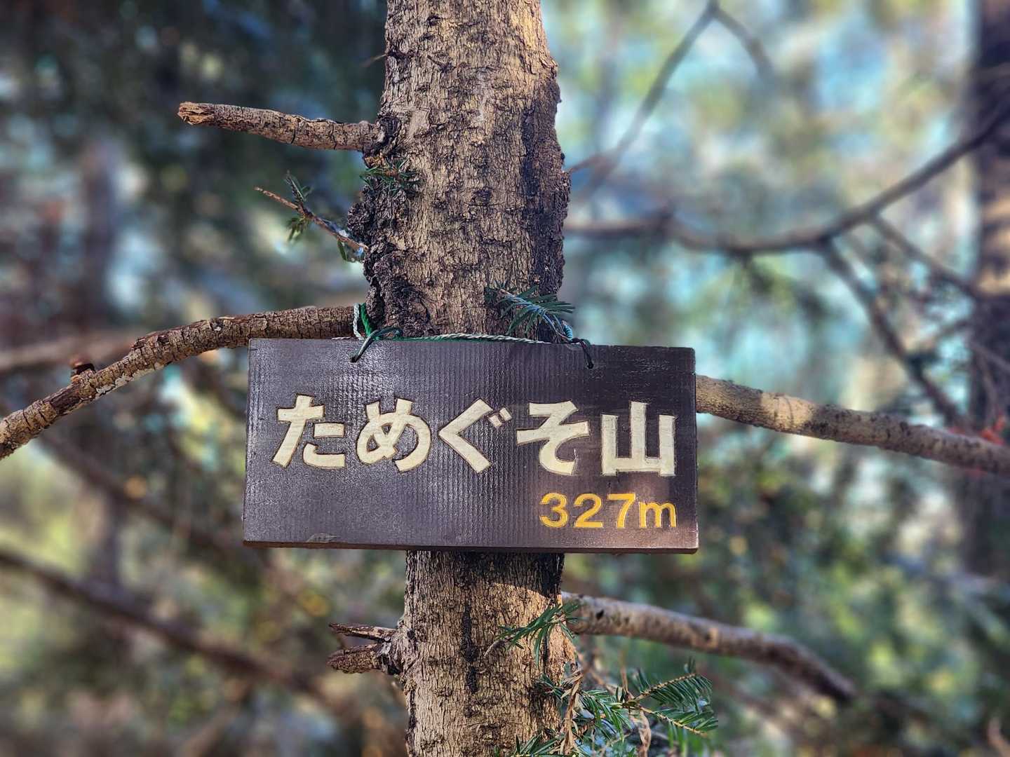 ずーっと行きたかったので とってもうれしい🦣💩