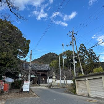 ここから車道歩きます