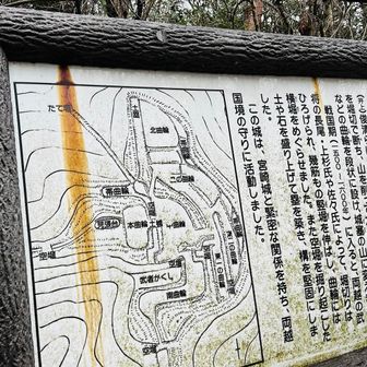 山城跡の説明板。持参した縄張り図には櫓跡などさらに詳しく書いてあります。