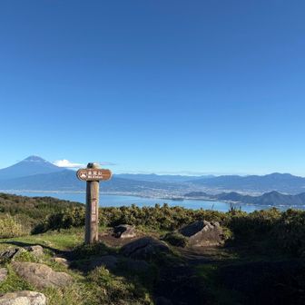 金冠山山頂
