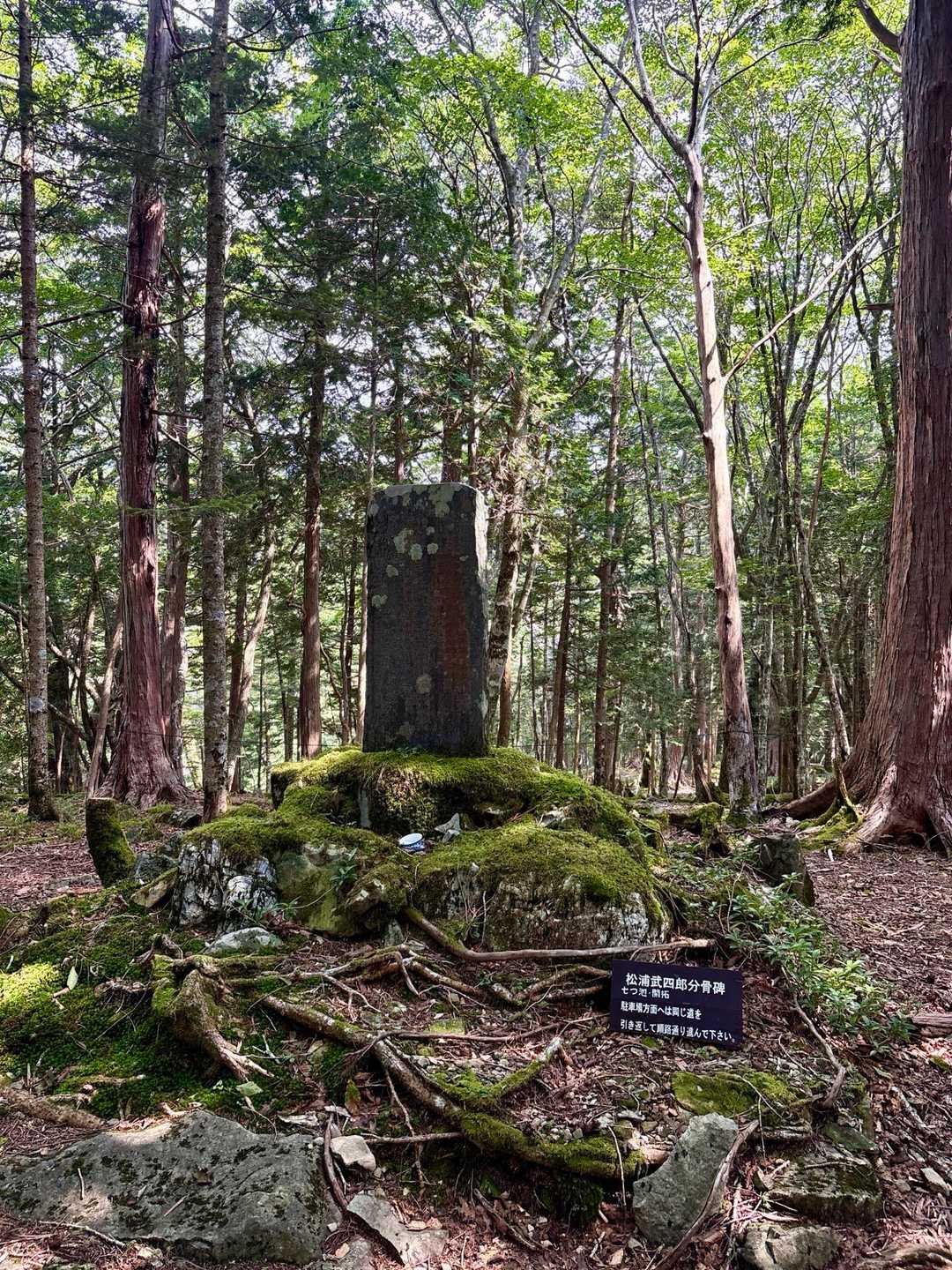 『逆峠』登頂💨
何があるのかと思ったら分骨碑があった。