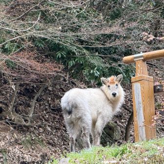 こっち向いた‼️👋