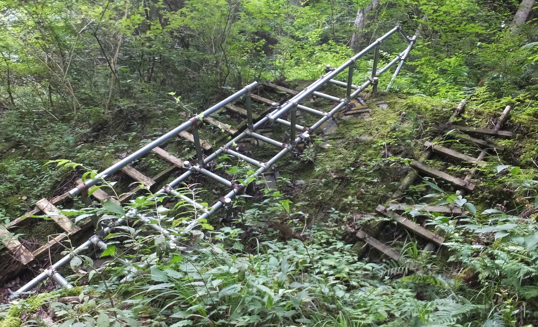 はしごを登り少し砂防ダムに向かって歩いた後、急登の始まりです。