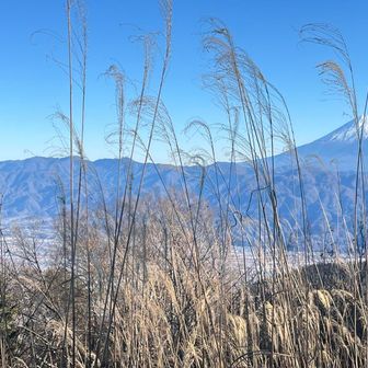見晴らし台から富士山と甲府市内。富士山見納めかな