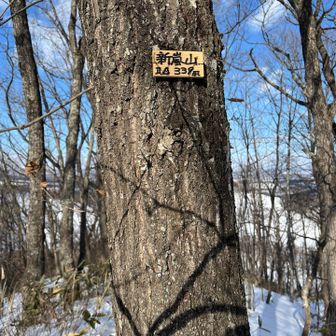 綺麗な青空でコーヒーをご馳走になり