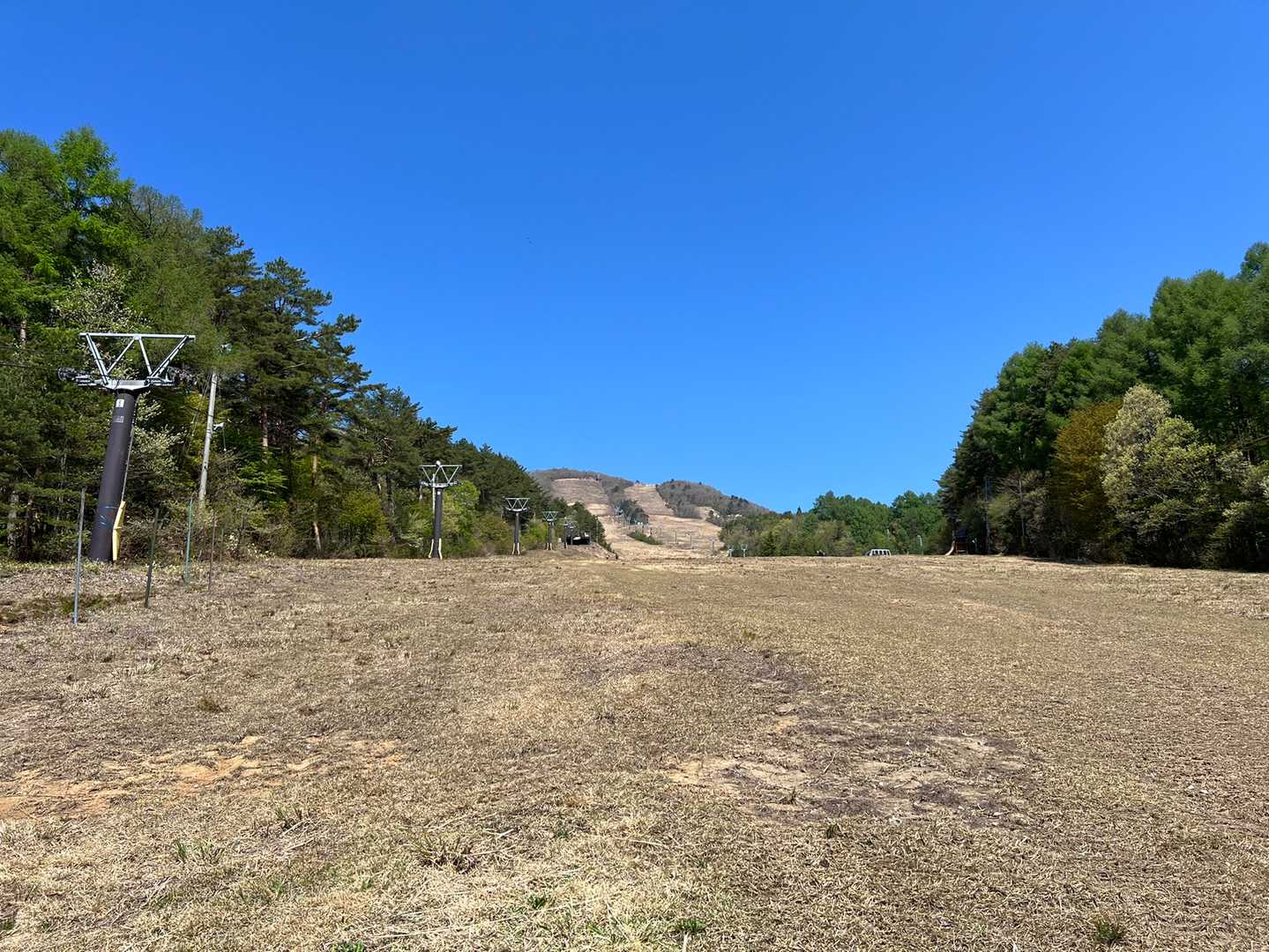 高社山 往復コースの写真
