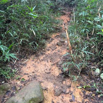 ここよりも前の箇所がかなり滑りました。
登るの必死で写真を撮るのを忘れてました。