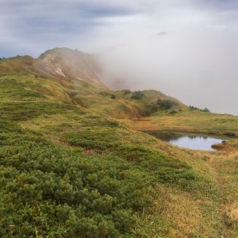 また別山まで登り返しです。
行きしは見なかった御手洗池をチラ見。
