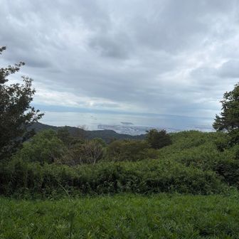 なんか景色見えてきた