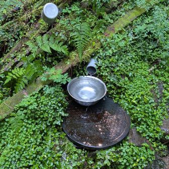 途中の水場💦
力水頂きました😋