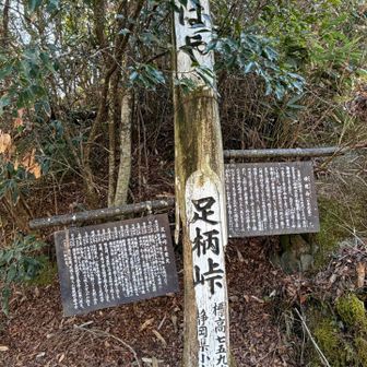 足柄峠
古代、足柄峠は都と東国を結ぶ要路だったとか