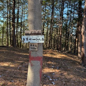 16チェイン後高萩山。