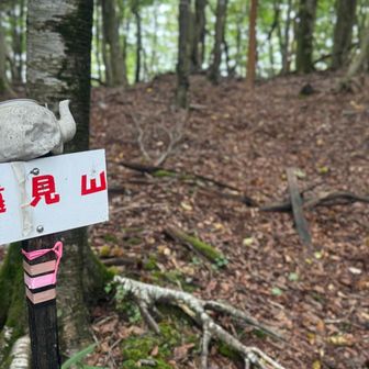 遠見山分岐🪧チャチャっと行ってきます🫡