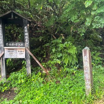 登山口