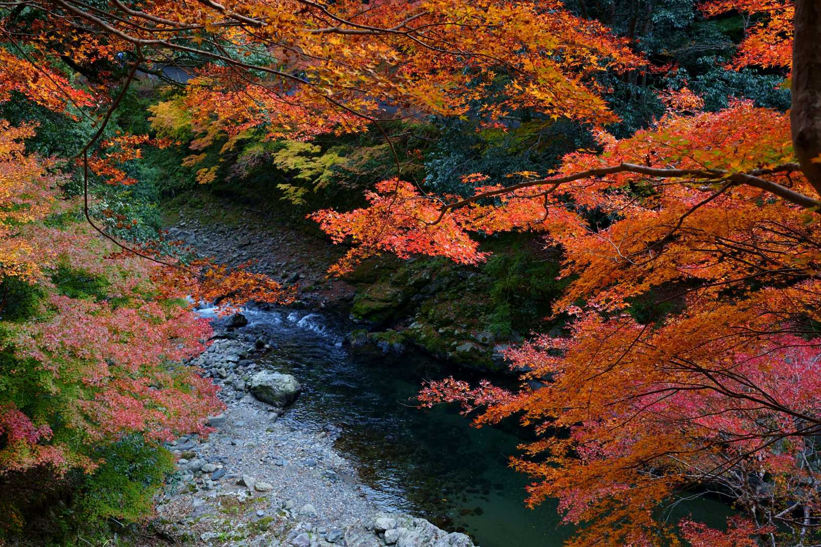 京見峠-上ノ水峠-仏栗峠-福ヶ谷林道登山口-白雲橋-槙ノ尾 縦走コースの写真