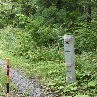 登山口から市ノ瀬ビジターセンターまでほぼ登山をそこそこ歩きます。