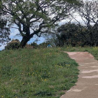 ここでお判りだろうかシリーズ😁
お花畑だとテンションアゲのanmiさんが隠れています🌷🌹🌸
11キロを背中に楽しんでます🙏
強者や💦
