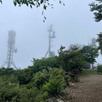 山頂付近は少しガスってます