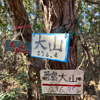 大山到着🙌簡単で手軽な山でした。
