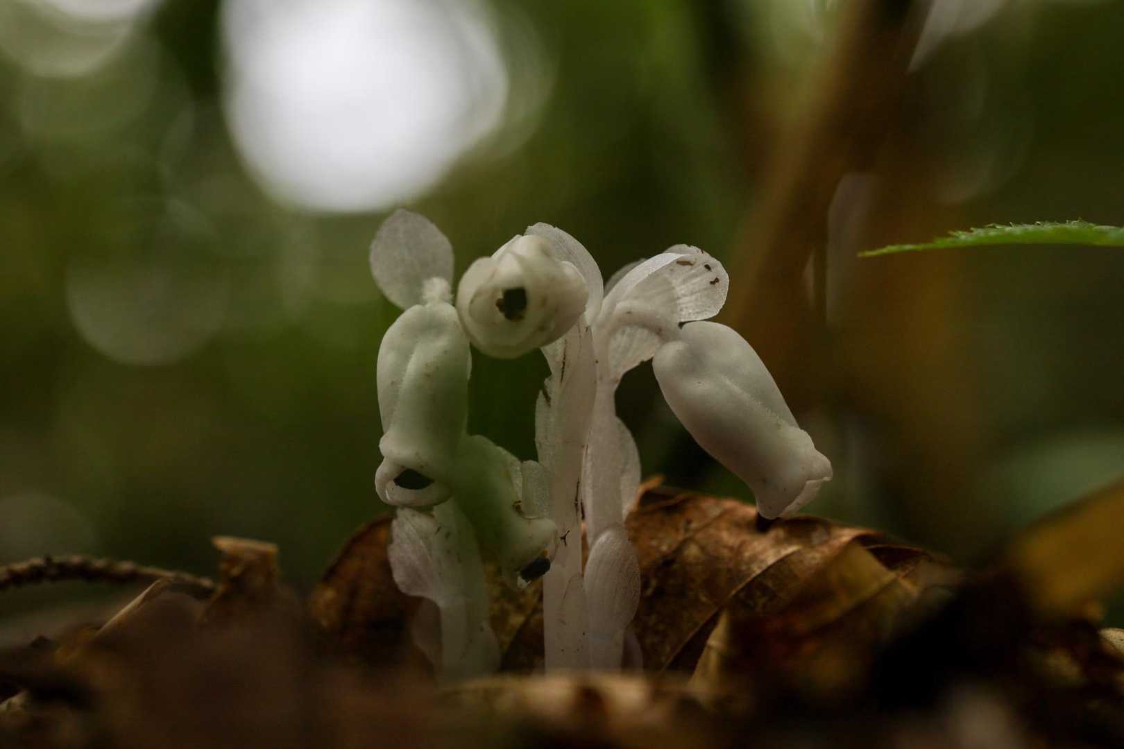 寄り添って🥰