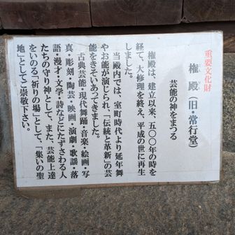 応仁の乱で大和猿楽の巡業が途絶えても、能郷や水海では徳山氏や朝倉氏が保護したのだろうか？