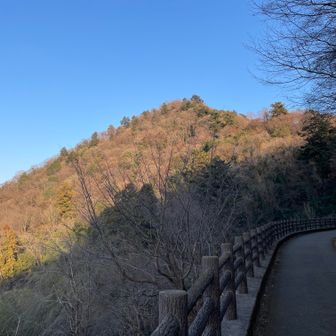 園路から城山を望む。