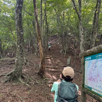 大竿峠