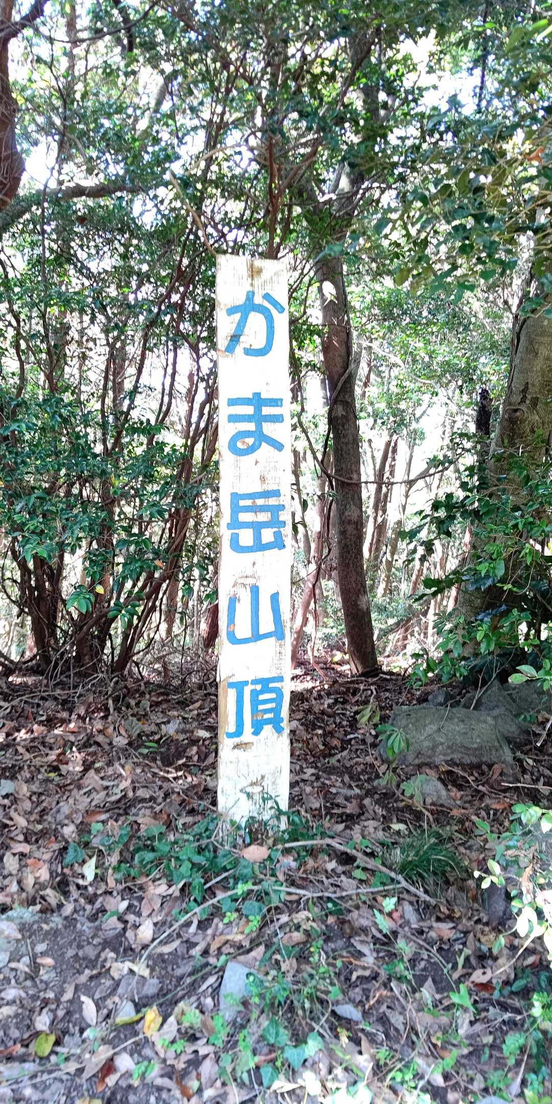 だそうです