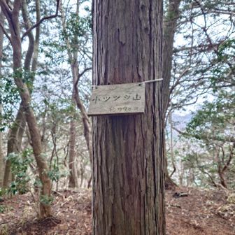 最初のピークで帰った...w