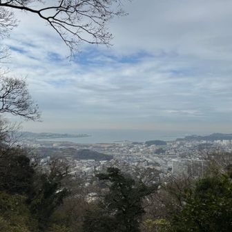 ほんとは見えたのかな