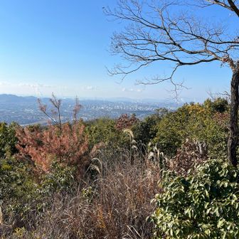 山頂から姫路城はっきり見えました