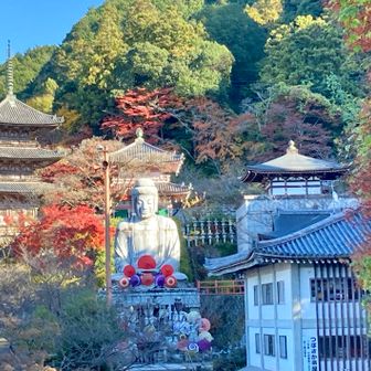 壷阪寺バス停裏の下山道を降りる。