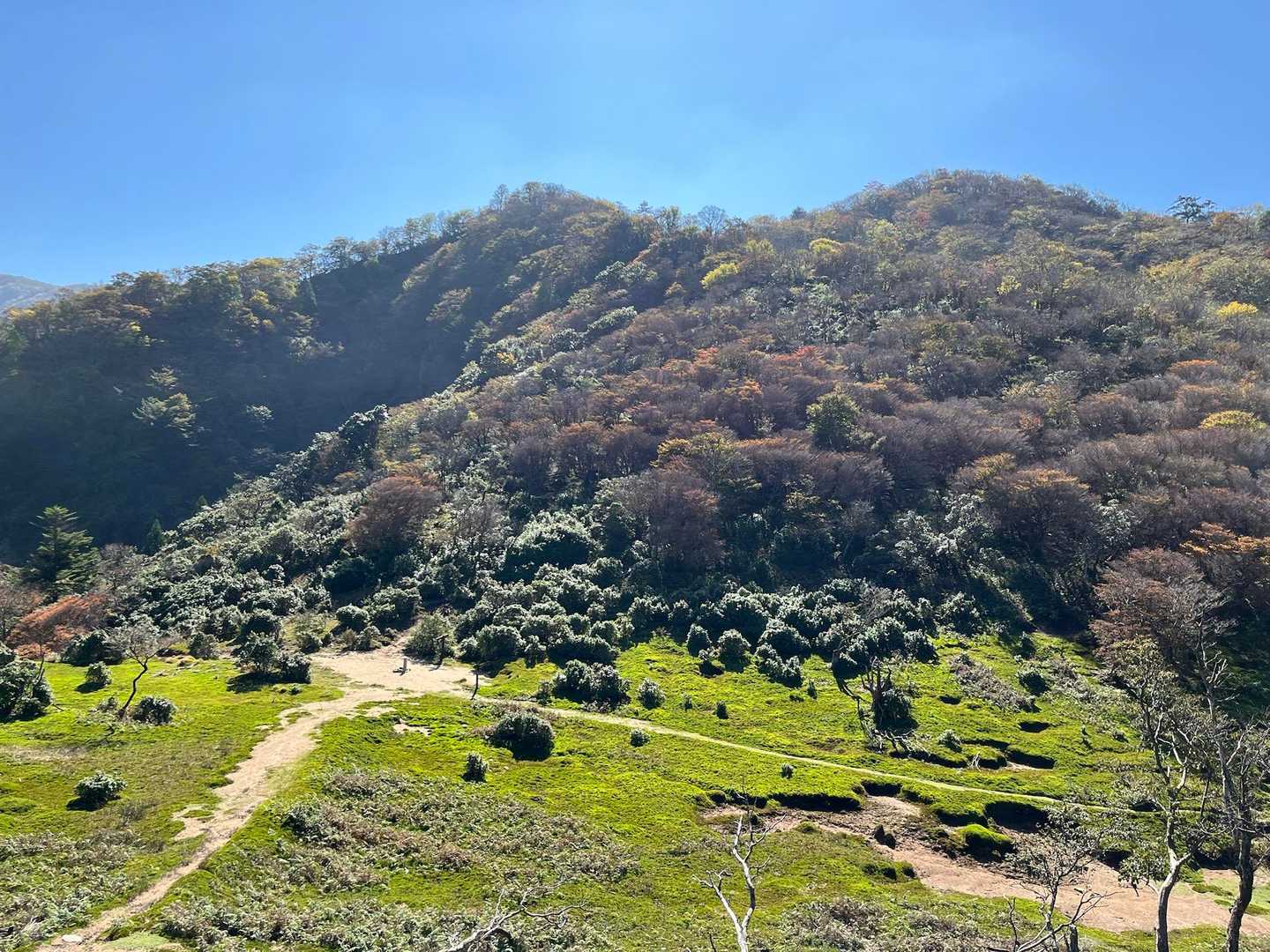 中峠
雰囲気めっちゃいい👍