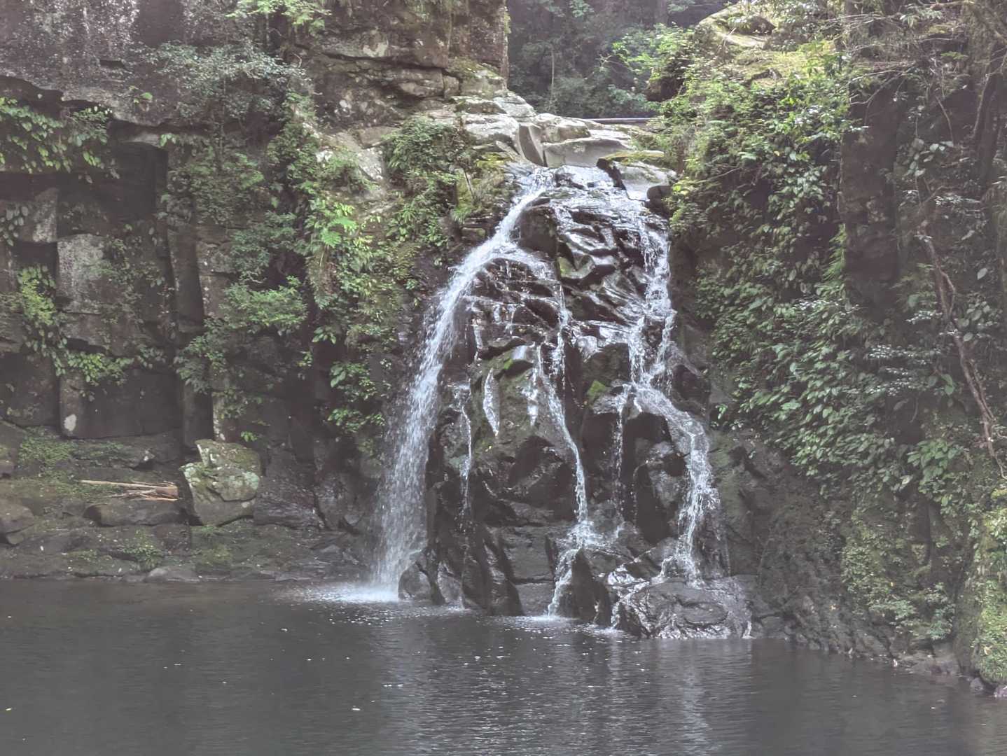 長坂山入山口-長坂山-赤目滝バス停 縦走コースの写真