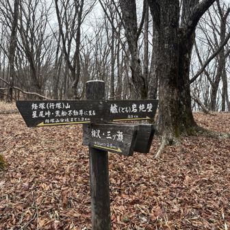 相沢分岐より
30分ほど平坦な道を進む