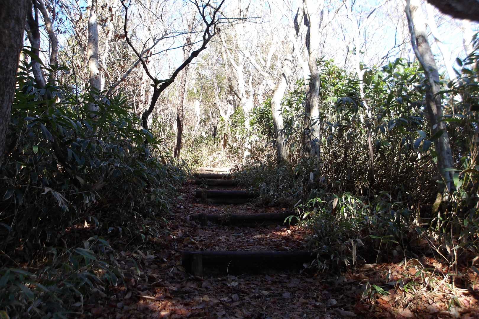 緩やかで登山道も広いし青空。
