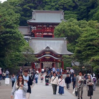 鶴岡八幡宮。
