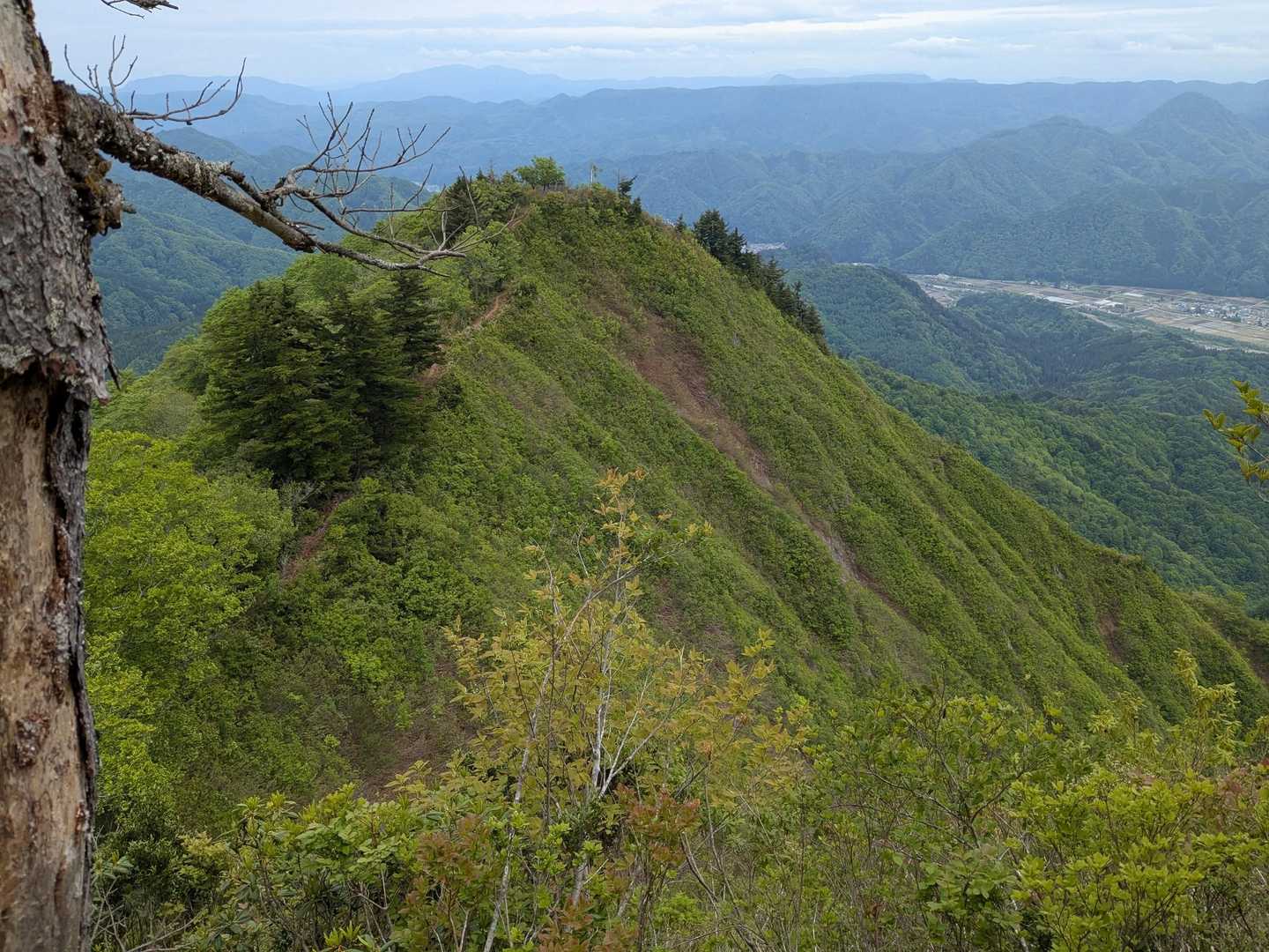 下山の途中で見る尾根、秋は全部が紅葉🍁して素敵なんです
