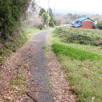 人里に降りて来ました。