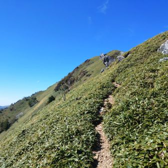 まだまだ山の家へと降りてきてます