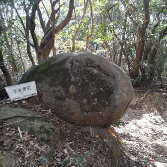 登りには気づかず、撮りに戻ったうさぎ石